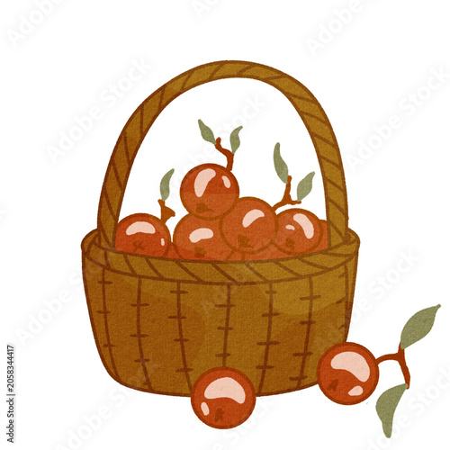 Autumn Berry Basket with Red Berries. Cozy Fall Harvest Hand Drawn Illustration