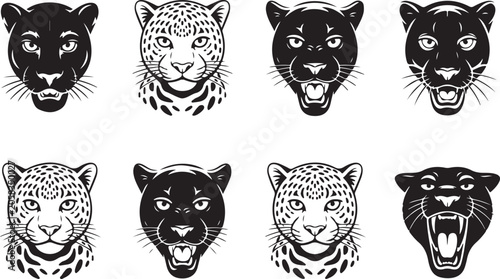 Photography Black and spotted cat heads illustration set