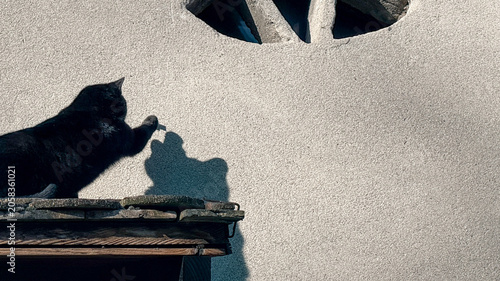 Konstfotografi Chat noir tendant la patte pour attraper sa propre ombre sur un mur ensoleillé