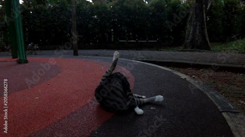 Tabby cat grooming its leg while lying on a playground surface cleaning pet
