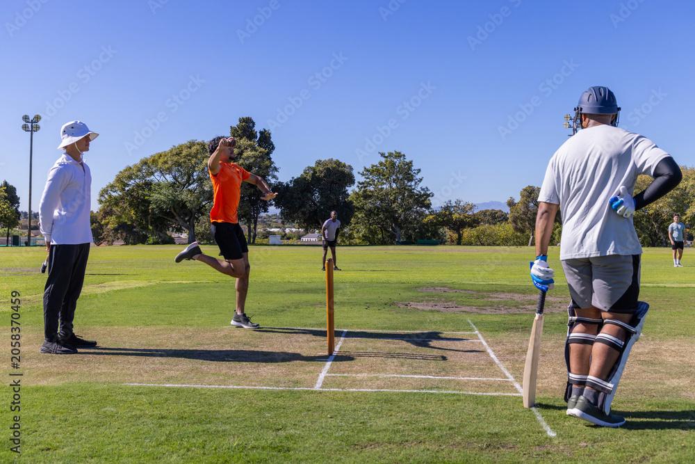 Obraz premium Diverse male cricket players bowling and batting on grassy field with stumps and helmet visible