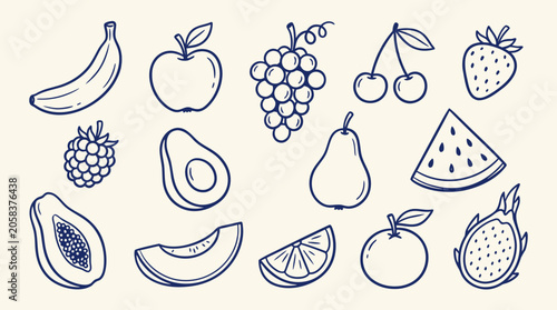 A delightful collection of handdrawn fruit illustrations in various shapes and sizes