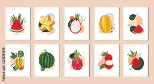 Collection of minimalist tropical fruit illustrations including watermelon dragon fruit pineapple and lychee in white frames.