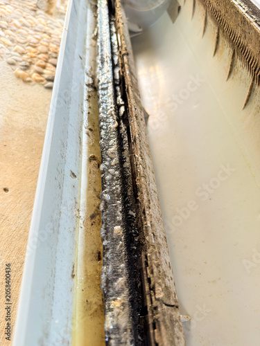 Close-up of mold and slime buildup inside an air conditioner drain pan during maintenance inspection. Ideal for HVAC service, hygiene, cleaning, and facility management concepts.