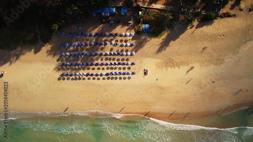 Aerial footage of resort sandy beach with umbrellas and deck chairs filmed from above in Thailand. Coastal area perfect for vacations. Drone perspective of tropical coast with sunshade canopies 
