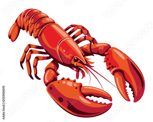 Bright red lobster with large claws against white background