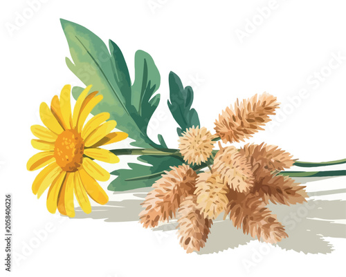 Watercolor painting of a yellow daisy and feathery seed heads