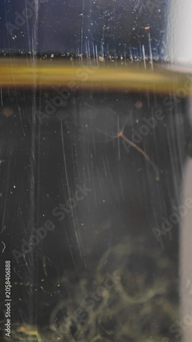 Macro view of tiny hydra swimming in aquarium water filmed with high magnification. Transparent body of this aquatic invertebrate in detail highlighting cylindrical structure and surrounding tentacles