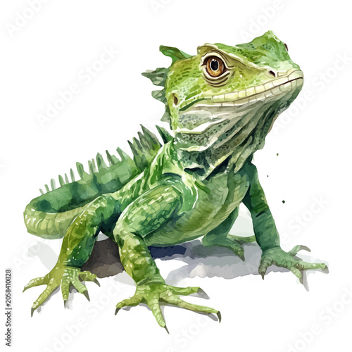 Bild auf Leinwand Watercolor illustration painting of Basilisk, minimal, isolated on a white background
