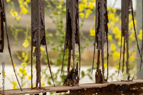Corroded Rusted Metal Bars with Peeling Iron and Yellow Flowers Background