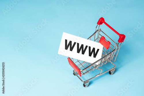 Buying a domain name for a company website. Online shopping, e-commerce, internet store, newsletter, and email marketing concept with a miniature shopping cart and WWW sign.
