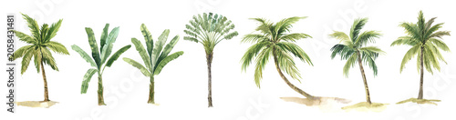 set of watercolor palm tree beach