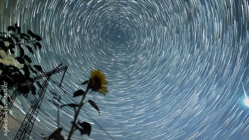 Sunflower silhouette beneath swirling star vortex, closeup botanical foreground with circular star trails, spiral center creating dreamlike motion, cool night palette, soft bokeh and rural tower