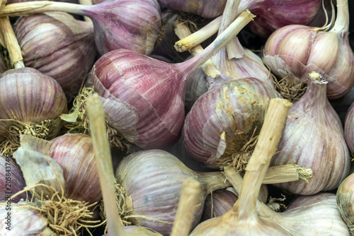 фотографія Fresh raw garlic bulbs with purple stripes at local organic market, top view background of homegrown garlic harvest full frame, healthy cooking ingredient and spicy seasoning close up