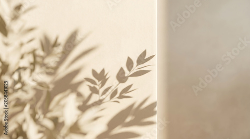 Canvastavla Minimalist Architectural Plaster Wall with Elegant Organic Leaf Shadows and Soft
