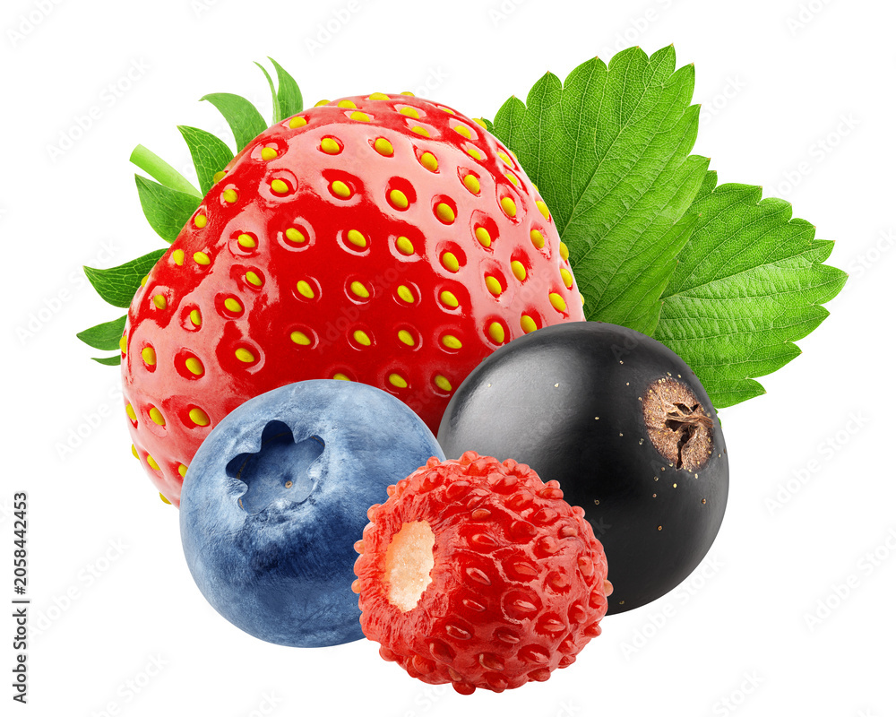 Naklejka premium wild Berries mix, strawberry, currant, blueberry, wild strawberry, isolated, full depth of field