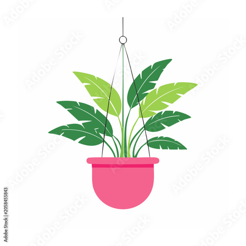 Potted plant with green leaves and red pot isolated