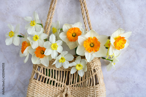 Photos Spring daffodil bouquet in wicker bag on light background