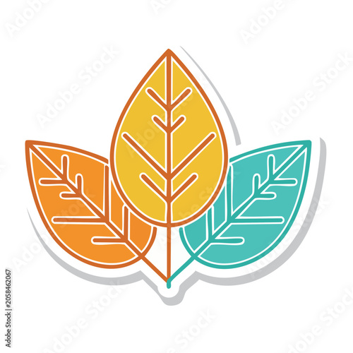Colorful autumn leaves flat illustration