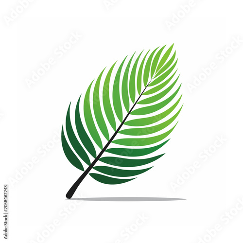 Green palm leaf illustration on white background
