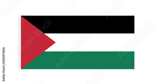 Palestinian flag with red triangle.