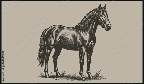 Photos A detailed black and white horse illustration with braided mane standing calmly