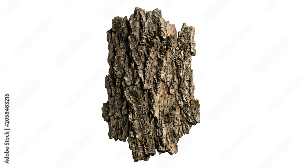 Obraz premium A piece of rough tree bark with deep ridges and brown textures, isolated on a white background, showcasing natural wood surface details