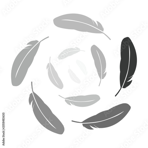  Bird Feathers, vector Flying Feathers Set with Transparency. Clipart Collection. Plume fluffy falling fuzz. Goose or Swan fuzz. 
