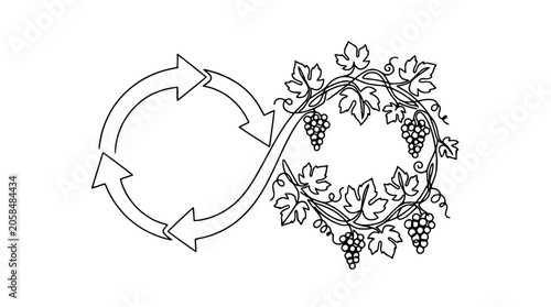 Foto Infinity loop with grapevine, grapes, leaves