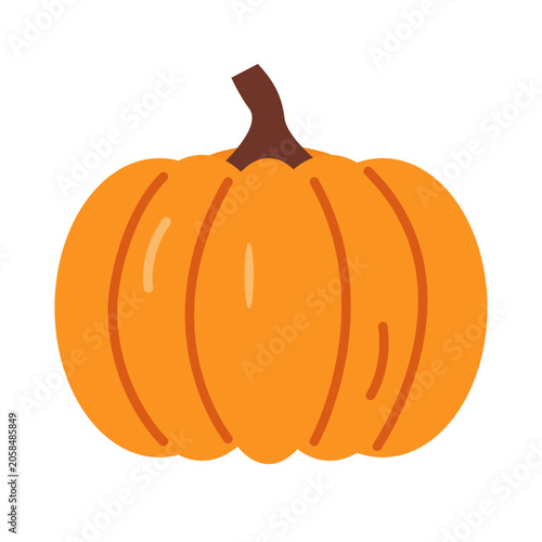 Bright Orange Pumpkin Sitting on a White Background in Autumn Season for Deco...