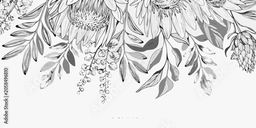 Bild auf Leinwand Protea Floral Ornament Black And White Vector Illustration