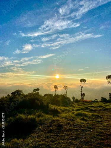 Beautiful sunrise over a sea of clouds in a lush green highland landscape
