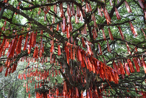 Wish ribbon in Vietnam (Suối Tiên Theme Park, Ho Chi Minh City)