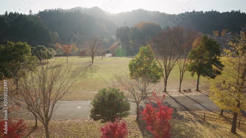 秋の宮ヶ瀬湖畔園地 紅葉 Autumn foliage at Miyagase Lakeside Park