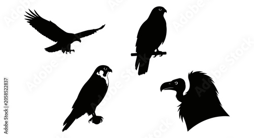Canvastavla Black silhouettes of various predatory birds in different poses.