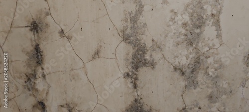 Fotografía Close-up texture of a deteriorated interior wall featuring mold growth, moisture