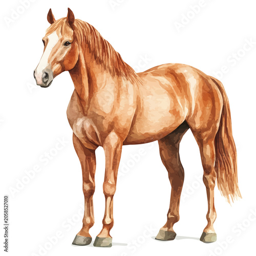 Foto Watercolor vector illustration of Horse, isolated on a white background