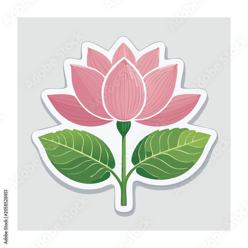 Pink lotus flower with green leaves flat illustration
