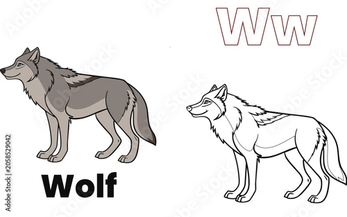 A to Z Wildlife Illustration Coloring Page for Children - Latter - W