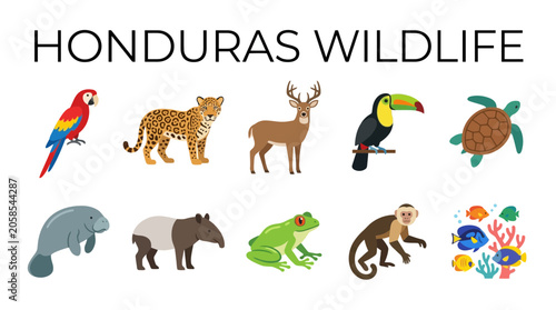 Photography Honduras Wildlife Collection Featuring Diverse Animals