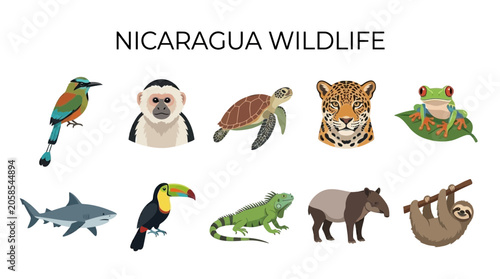 Canvas Print Nicaragua Wildlife Collection: Diverse Animals of Central America