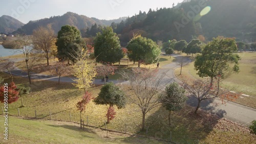 秋の宮ヶ瀬湖畔園地 紅葉 Autumn foliage at Miyagase Lakeside Park