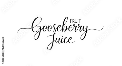 Elegant Gooseberry Juice Lettering Logo on White Background