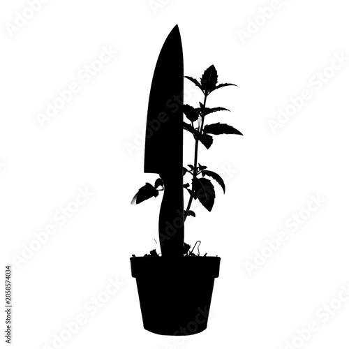 Obraz na plátne A kitchen knife pierces a growing plant in a pot