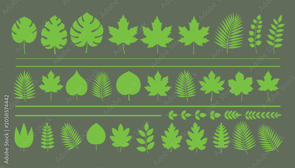 Obraz premium Green leaves collection vector illustration decorative nature elements for design.