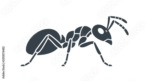 Photos Detailed illustration of an ant.