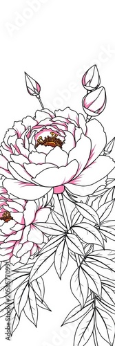 Luscious peony flowers and leaves in black linear illustration, delicate, high-contrast
