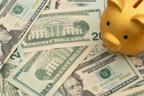 Piggy bank on twenty dollar bills for budgeting