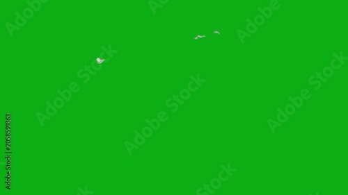 birds flock flying sky wings avian nature group freedom premium stock media clip for professional video editing projects. this high-end visual element is perfectly optimized