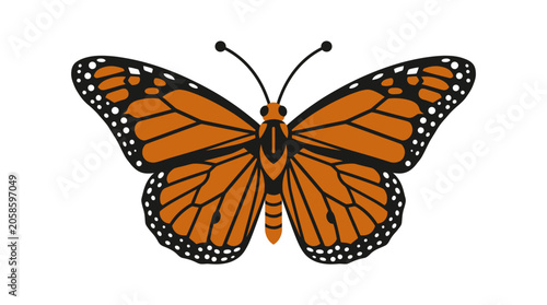 Tableau sur toile Detailed Monarch Butterfly Wings Spread Wide.